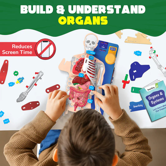 Smartivity Interactive Human Body Model | Ages 8 - 14 years | Learn about Body Organs