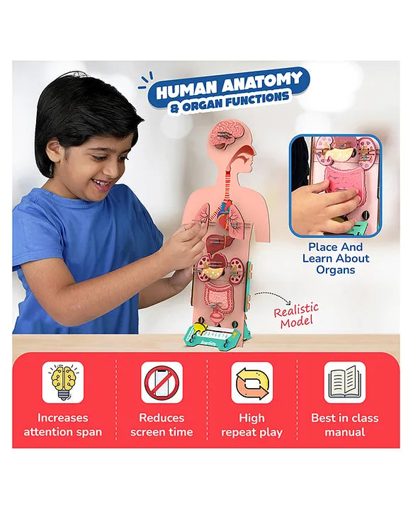 Smartivity Human Body | STEM DIY Educational Toy | Ages 4+