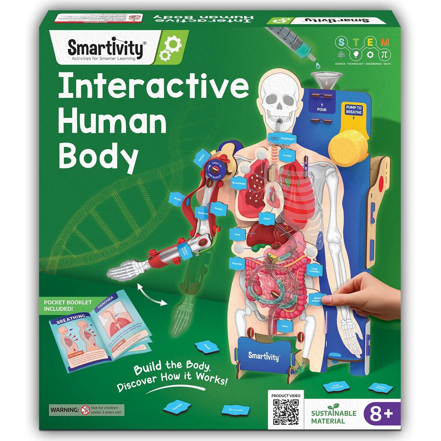Smartivity Interactive Human Body Model | Ages 8 - 14 years | Learn about Body Organs