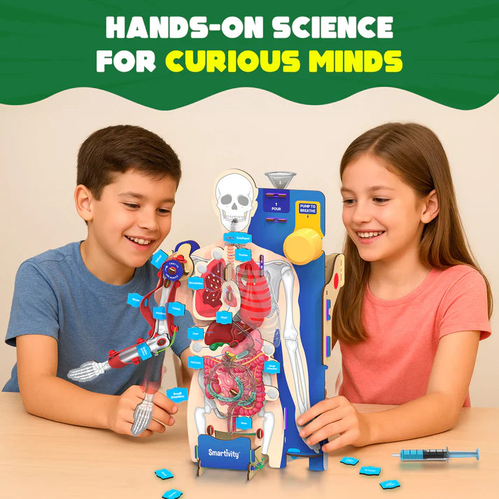 Smartivity Interactive Human Body Model | Ages 8 - 14 years | Learn about Body Organs